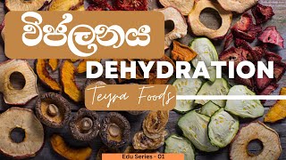 What is dehydration? විජලනය යනු කුමක්ද?