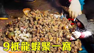 【猛貨合集】深夜無人島辣螺遍地，9隻龍蝦聚一窩抓到爽，今天早餐不要太奢侈！ 【漁小仙】