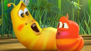 LARVA - LARVA BABIES | Larva 2018 | Cartoons For Children | LARVA Official