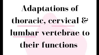 Adaptations of Thoracic, Cervical \u0026 Lumbar Vertebrae to Their Functions•Biology•TSC•Elimu• KCSE•KNEC