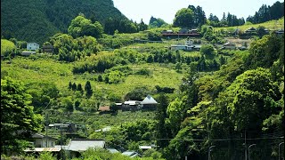 山上の果樹園集落・大日川【田舎散歩・限界集落】（奈良県五條市西吉野町大日川）Nishiyoshino Town Obikawa, Nara Japan