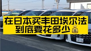 日本的丰田埃尔法便宜吗？