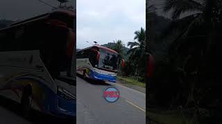 BERPAPASAN DENGAN TRANEX NOPIN 55 #music #alanwalker #busminang