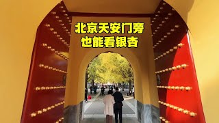 距北京天安门仅50米，发现赏秋好地方，还隐藏一个国家重要标志【北京旅游等着瞧】