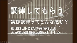 ピアノ調律師LINDEN佐藤倫弥さんの調律全容公開！こだわりがわかる