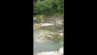 清流　大芦川