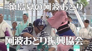 待ちに待った早朝阿波踊り「阿波おどり振興協会」2019徳島夏の阿波おどり（2020.8.14）