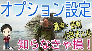 【ARK PS4版】オプション設定のおすすめ！作成素材の表示方法・高画質化・ゲームを軽く・眩しい解消etc…