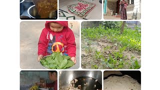 আজ বাড়ির সব্জি 🌱🍆 তোলা হল//Husband আমার সফলতার নেশায় এতটাই মেতেছে  যে familyর কথা মনেই থাকে না 😢