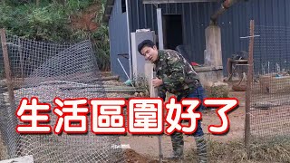 Raising fish and chickens deep in the mountains, today I finally fenced off the living area