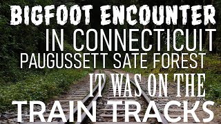 I ENCOUNTERED BIGFOOT ON THE TRAIN TRACKS IN CONNECTICUT (PAUGUSSETT STATE FOREST) #bigfoot