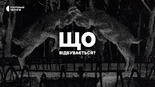 Ломако VS Брижинський: боротьба за інтереси чернігівців чи за владу?│Що відбувається