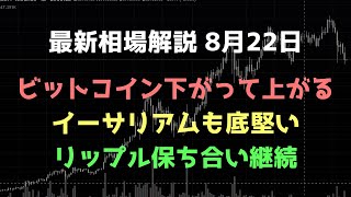 ビットコイン下落しても反発する｜ビットコイン、イーサリアム、リップルの値動きを解説