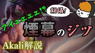 【アカリ vs リサンドラ】アイエエエエ! ニンジャ!? ニンジャナンデ!?最強のアカリ講座【DFM Evi解説】