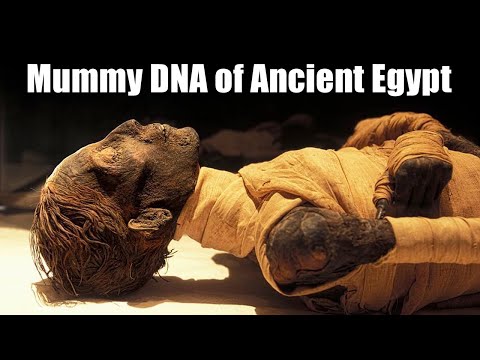 Can you extract DNA from mummies?