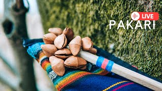 Pakari - Andean Rhythms That Bring Joy