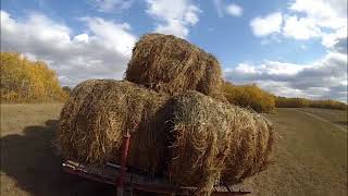 Massey Haul Hay 2017 Final