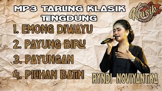 RYNDI NOVIYANTIKA -  TARLING KLASIK TENGDUNG 2024