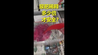 204 熟化尿肥应该稀释多少倍？怎样使用才不会产生肥害？ --- 投笔从农朱叫兽 365挑战之204