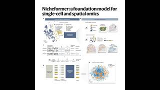 257-Nicheformer: for Single-Cell and Spatial Omics