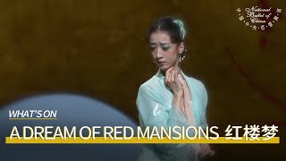 A Dream of Red Mansions Premiere: Wishing All Lovers a World of Love | National Ballet of China