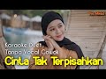 Cinta Tak Terpisahkan Tanpa Vocal Cowok || Karaoke Untuk Cowok || Vocal Mintul  #DuetinAja