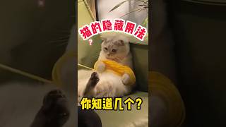 猫咪的隐藏用法，你知道几个？  #科学养宠攻略 #萌宠百科