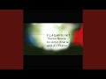 Flashpoint (TV Theme Remix)