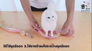 วิธีใส่ชุดรัดอกรหัส DN [CCPet]