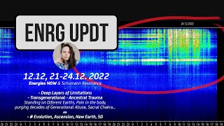 Heavy Purge, Portals of 12, Energies Now, Preparation for 2023 & more
