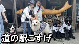 【ラム＆ピコ】道の駅こすげでランチしてダム巡り【アズダイ・美和子・ラムピコ】