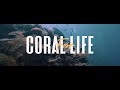 Coral For Life (ft. Eunike Fersa) [WWF-Indonesia & EPSON]