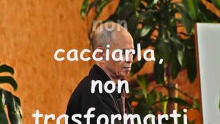 Thich Nhat Hanh - Spegni il fuoco della rabbia_0001.wmv