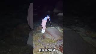 7세 아들의 게잡이체험 #해루질 #워킹해루질