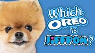 Which Oreo is Jiffpom?