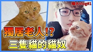 《睡大Vlog》#1 人生第一支Vlog｜獨居老人｜三隻貓的貓奴