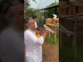 Gurudev Sri Sri Ravi Shankar with Birds! ❤️ | Bangalore Ashram #shorts