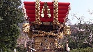 平成24年 兵庫県淡路市 金毘羅神社春祭り だんじり映像 新村