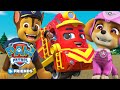 PAW Patrol and Mighty Express Episodes! Cartoons for Kids Compilation 51 - PAW Patrol & Friends