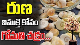 రుణ విముక్తి కోసం గోమతి చక్రం | Gomathi Chakram | Runa Vimukthi | Devotional | ARK TV ET