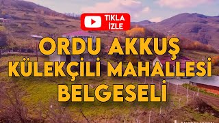 ORDU AKKUŞ KÜLEKÇİLİ MAHALLESİ BELGESELİ