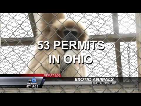 Living With Exotic Animals: How Ohio Families are Legally Keeping Their Pets Living With Exotic Animals: How Ohio Families are Legally Keeping Their Pets