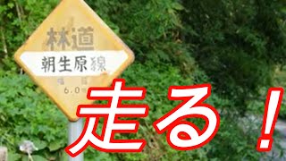 千葉県市原市の林道「朝生原線」をNENCスポーツセレクターで走ってきた！　　I ran on the forest road \