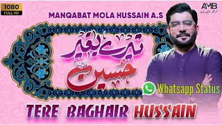 Tere Baghair Hussain (as) - Mir Hasan Mir New Manqabat 2023 - 3 Shaban Manqabat 2023-Status 2023
