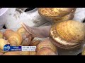 efforts to increase cockle clams news today l kbs world tv 210712