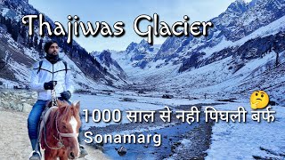 Thajiwas Glacier | Sonamarg | Complete Travel Guide | Kashmir | Exploring Abhishek