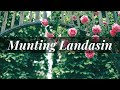 MUNTING LANDASIN | Young Voices of the Philippines | Marvin Quintana