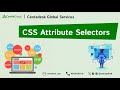 CSS Attribute Selectors Explained | CSS Selectors Tutorial for Beginners (4)
