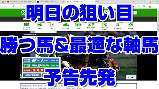 【競馬予想】明日の狙い目2022 予告先発 シルクロードステークス 根岸ステークス