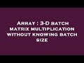 Array : 3-D batch matrix multiplication without knowing batch size